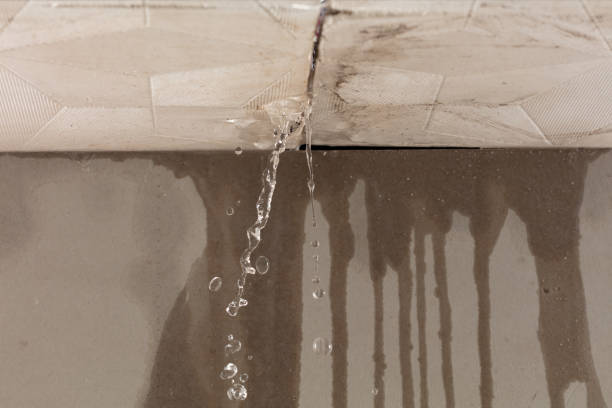 Professional Water Damage Repair technician working in Wills Point, TX